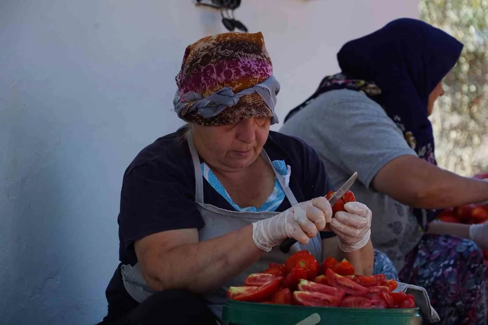 BALIKESİR'İN AYVALIK İLÇESİNİN KÜÇÜKKÖY MAHALLESİ'NDE FAALİYET GÖSTEREN S.S. AYVALIK ÜRETİM VE PAZARLAMA KOOPERATİFİ'NİN MUTFAĞINDA, KADINLARIN EMEĞİ VE KUZEY EGE GÜNEŞİ BULUŞUYOR.