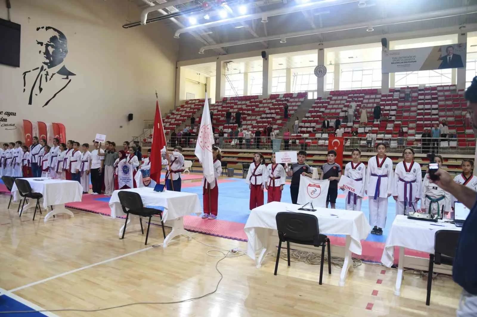 ESKİŞEHİR'DE DÜZENLENEN 2. İLLER ARASI TAEKWONDO POOMSAE TURNUVASI, TÜM HEYECANIYLA DEVAM EDİYOR.