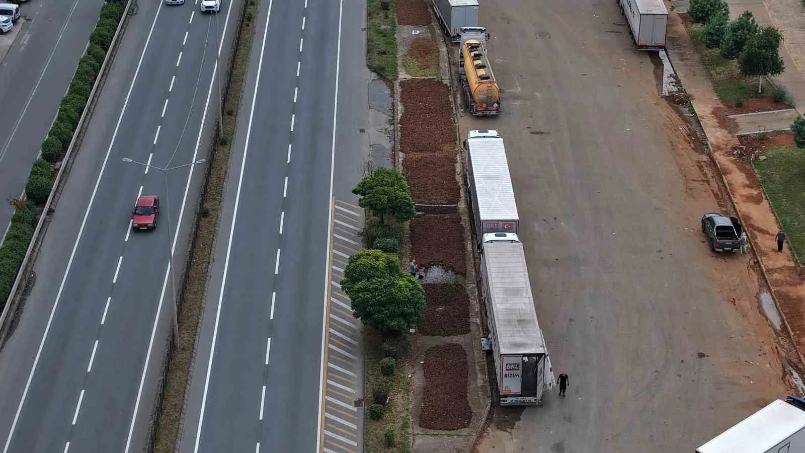 TRABZON’UN ARSİN İLÇESİNDE HASADIN ARDINDAN SAHİL YOLU KENARLARI FINDIK HARMANINA DÖNÜŞTÜ.