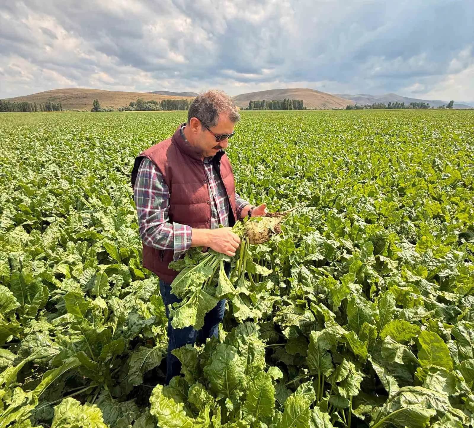 MİLLİ SAVUNMA BAKAN YARDIMCISI SALİH AYHAN, BAYBURT’UN ÇİFTETAŞ KÖYÜNDE BULUNAN TARLA VE ARAZİSİNDEN YAPTIĞI PAYLAŞIMLA MEMLEKET ÖZLEMİNİ DİLE GETİRDİ
