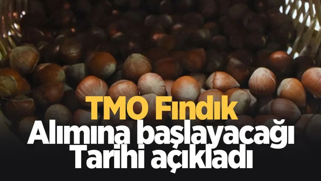TMO, EREĞLİ'DE 3 AY SÜREYLE ALIM YAPACAK