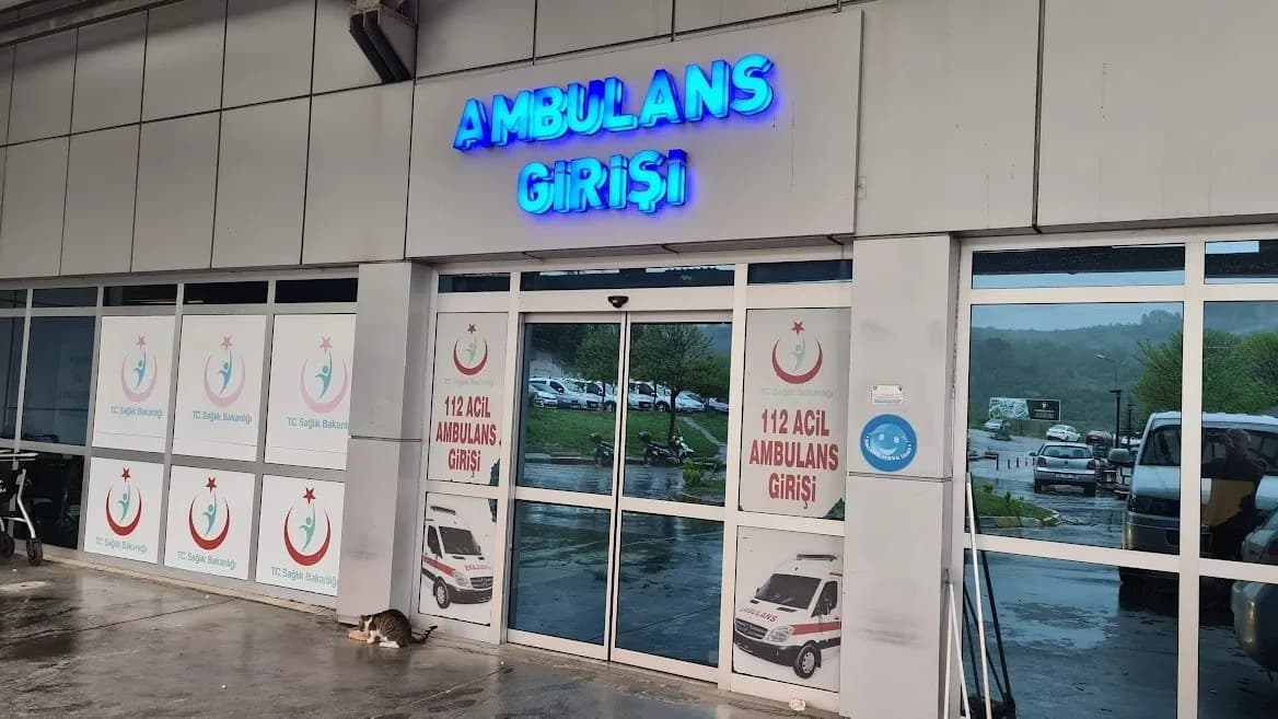 Ihlamur ağacından düşen kadın yaralandı