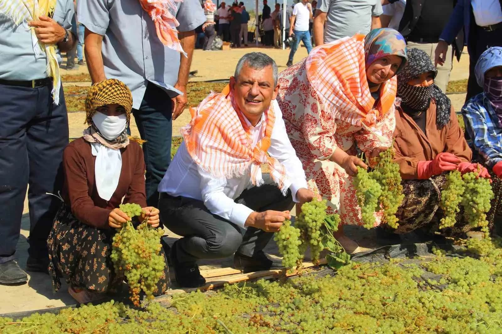 YENİ PARTİ GENEL BAŞKANI ÖZGÜR ÖZEL, MANİSA'NIN ŞEHZADELER İLÇESİNDE ÜZÜM ÜRETİCİLERİYLE BİR ARAYA GELDİ.