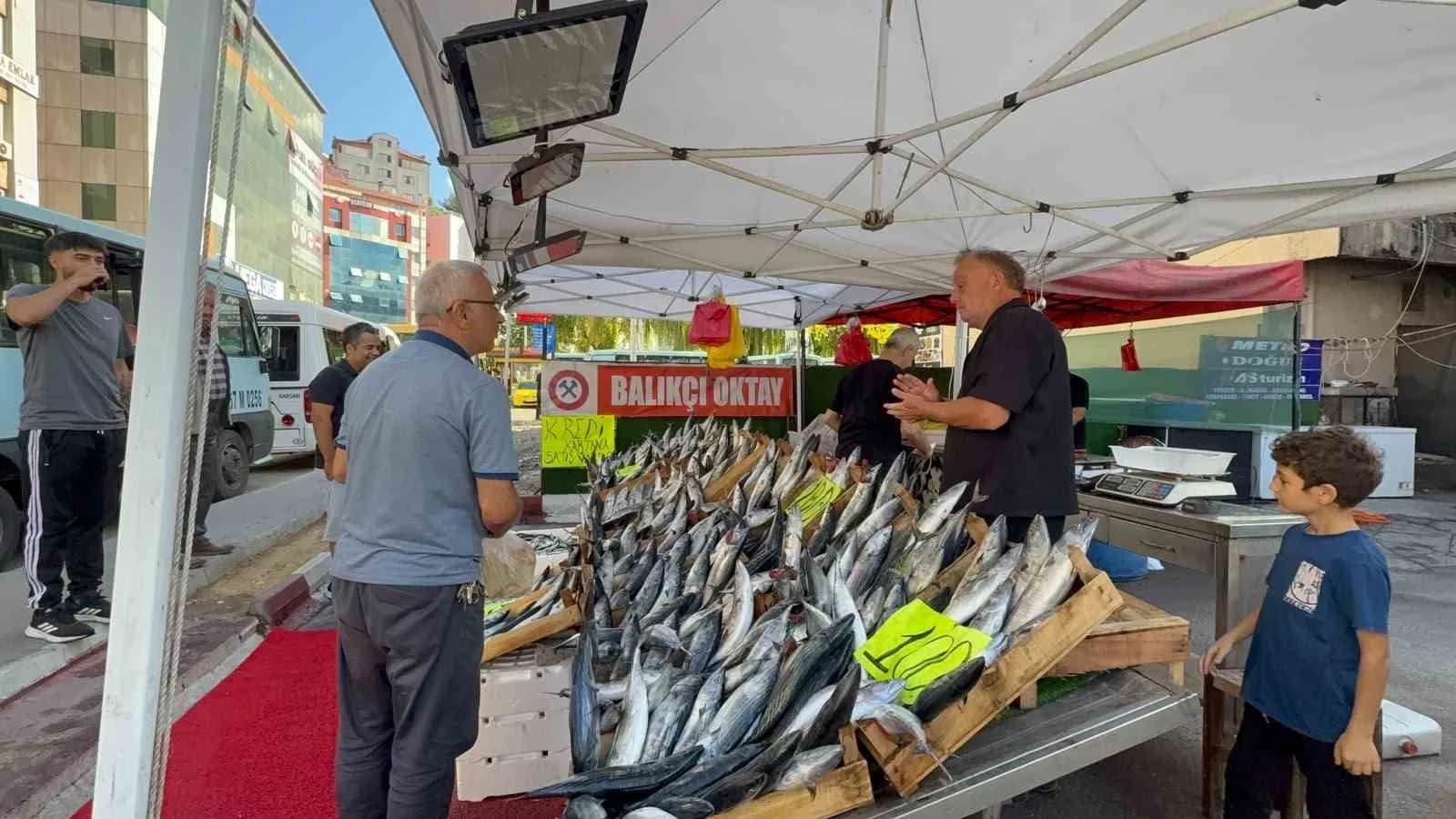 ZONGULDAK'TA EYLÜL AYIYLA BİRLİKTE BAŞLAYAN BALIKÇILIK SEZONUNDA PALAMUTUN TANESİ 100 LİRADAN SATIŞA SUNULDU.