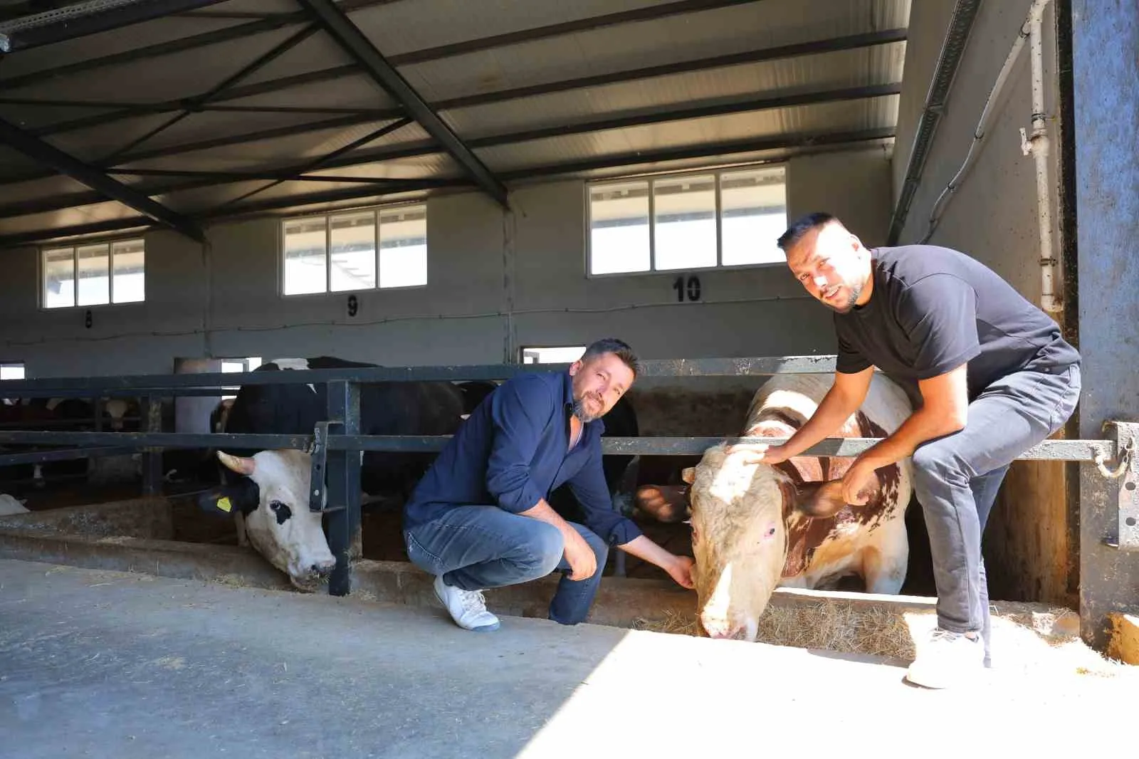 ELBİSTAN’IN ELDEREK MAHALLESİ’NDE HAYVANCILIĞA UYGUN OLDUĞU İÇİN ARAZİ SATIN ALAN KAVAL, GEREKLİ RUHSAT VE BAŞVURU İŞLEMLERİNİN ARDINDAN TKDK DESTEĞİYLE BESİ ÇİFTLİĞİNİ KURDU
