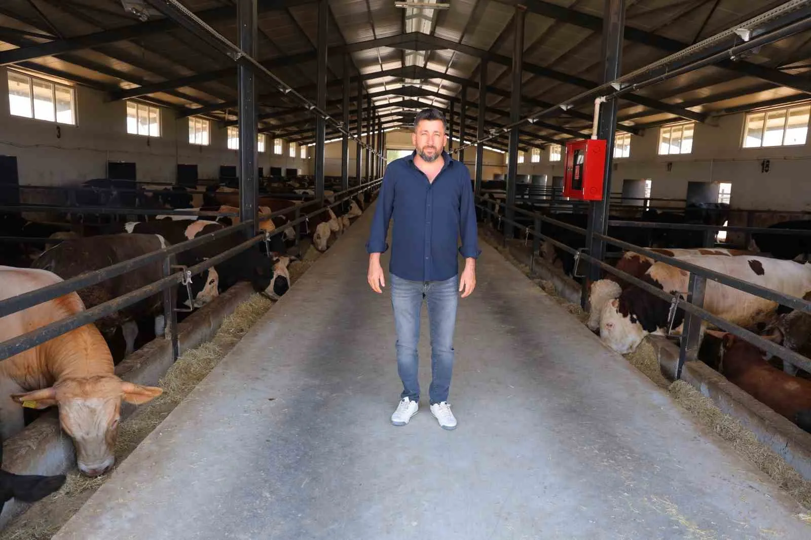 MEHMET KAVAL, "BESİ SÜRECİNİN ARDINDAN KESİM İÇİN MEZBAHALARA GÖNDERİYORUZ. BURADAN DA TÜRKİYE’NİN ÇEŞİTLİ YERLERİNDE ET İHTİYACI OLAN BÖLGELERE GÖNDERİLİYOR"