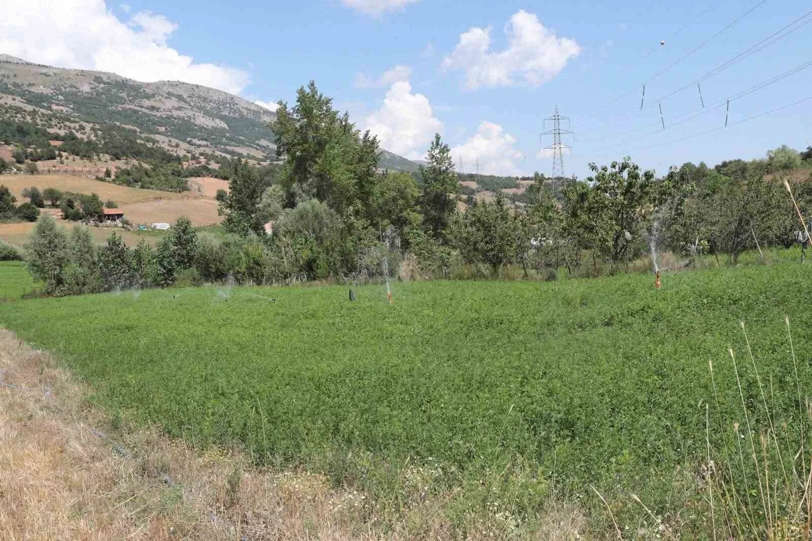 AMASYA İL ÖZEL İDARESİ GENEL SEKRETERİ ERDİN ACAR, TARIMSAL ÜRETİMİN GELİŞTİRİLMESİNE YÖNELİK YATIRIMLARA BÜYÜK ÖNEM VERDİKLERİNİ BELİRTEREK, PROJENİN HAYATA GEÇİRİLMESİNE DESTEK SAĞLAYANLARA TEŞEKKÜR ETTİ.