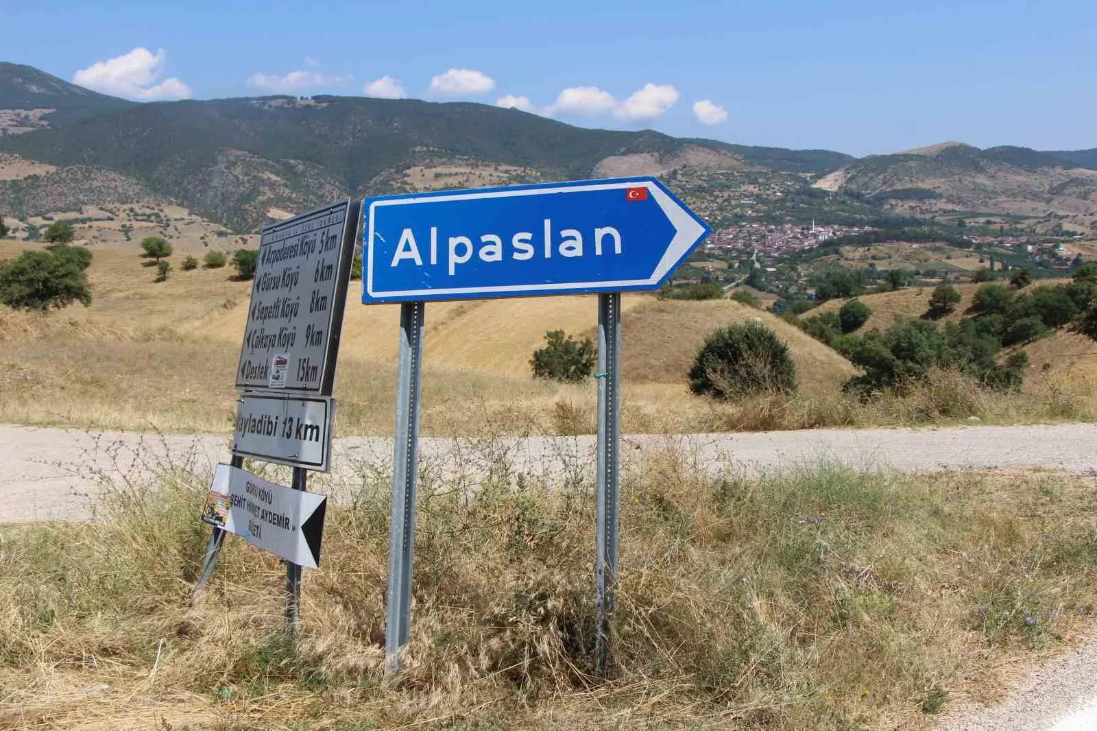 AMASYA’NIN ‘TESCİLLİ SARI ALTINI’ ÇİÇEK BAMYASI HASADI DEVAM EDİYOR