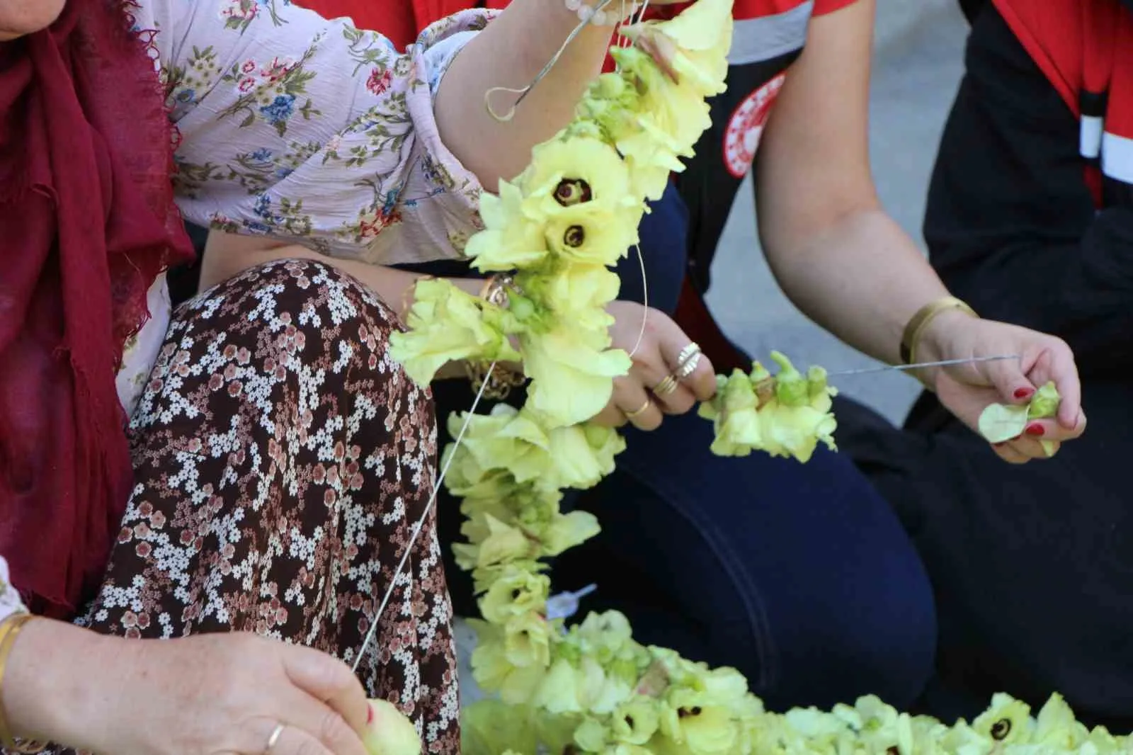 NAFİYE CELEP, SABAH ERKEN SAATLERDEN İTİBAREN TOPLAMAYA BAŞLADIKLARI BAMYALARI KOMŞULARIYLA İMECE USULÜYLE İPE DİZEREK KURUMAYA BIRAKTIKLARINI ANLATTI. 4 ÇOCUK ANNESİ GÜL ESER DE, EVLATLARININ EĞİTİMİNİ BAMYA SATIŞINDAN ELDE ETTİĞİ GELİRLE SAĞLADIĞINI VURGULADI.