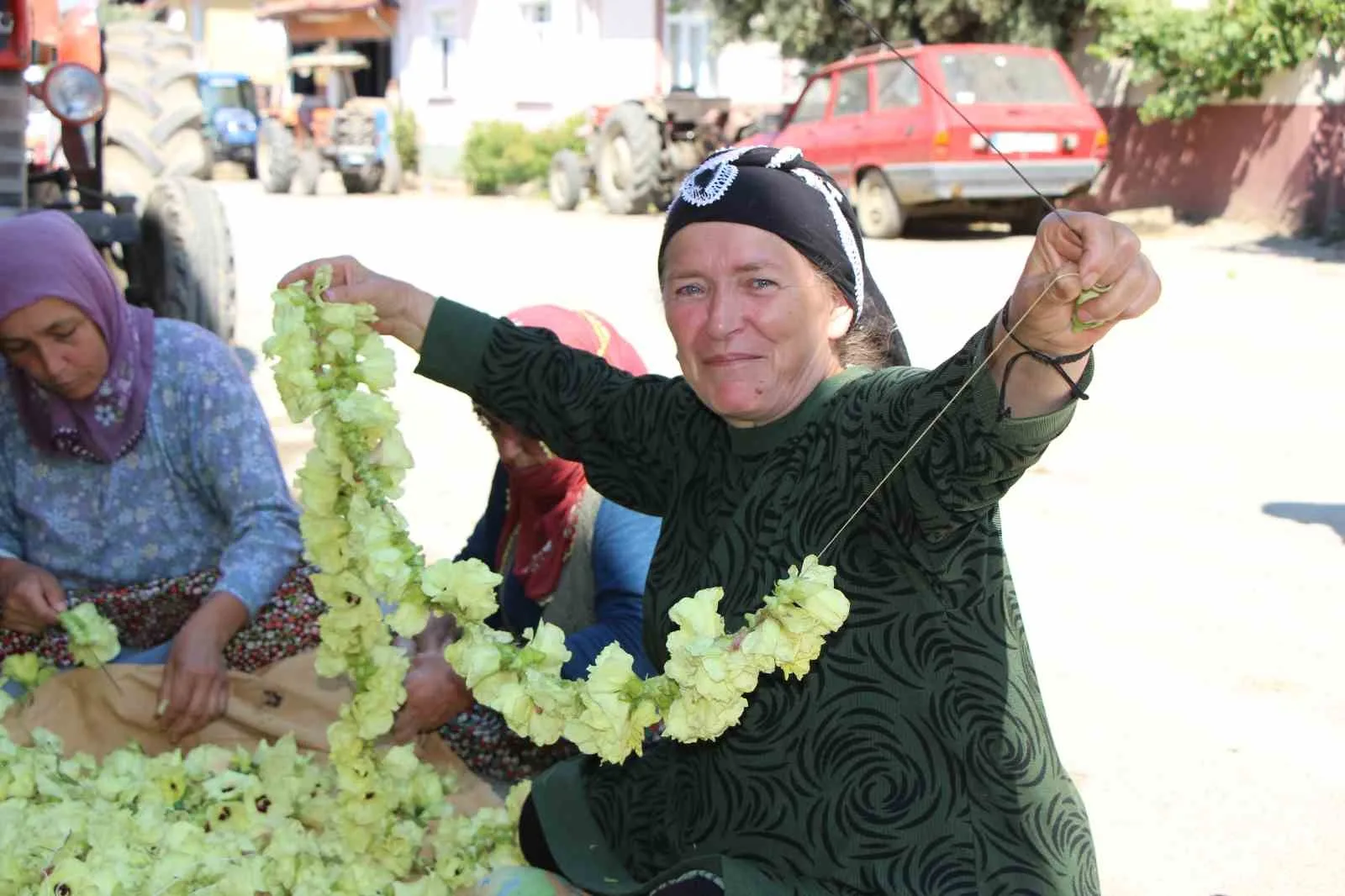 YAZ BOYUNCA SABAH ERKEN SAATLERDE ÜRETİCİLER TARAFINDAN ÇİÇEĞİYLE BİRLİKTE TOPLANAN MİNİK BAMYALAR DAHA SONRA İĞNE YARDIMIYLA TEK TEK İPE DİZİLEREK KURUMAYA BIRAKILIYOR. BAMYALARIN DİZİLME İŞLEMLERİ GEÇ SAATLERE KADAR SÜRÜYOR.