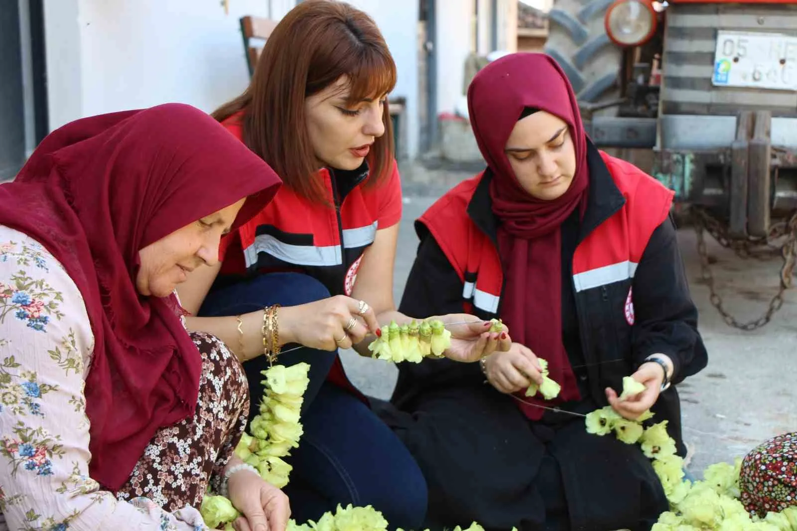 BU YILIN KİRAZ TEŞVİK YARIŞMASI ŞAMPİYONU GÜL VE YUSUF ESER ÇİFTİNİN BAMYA BAHÇELERİNDEKİ HASADA PROTOKOL ÜYELERİ DE KATILDI.