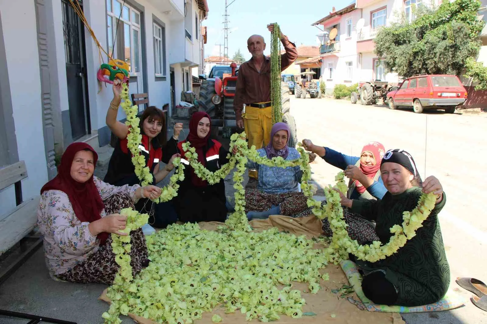 AMASYA’NIN ‘TESCİLLİ SARI ALTINI’ ÇİÇEK BAMYASI İPLERE DİZİLİYOR.