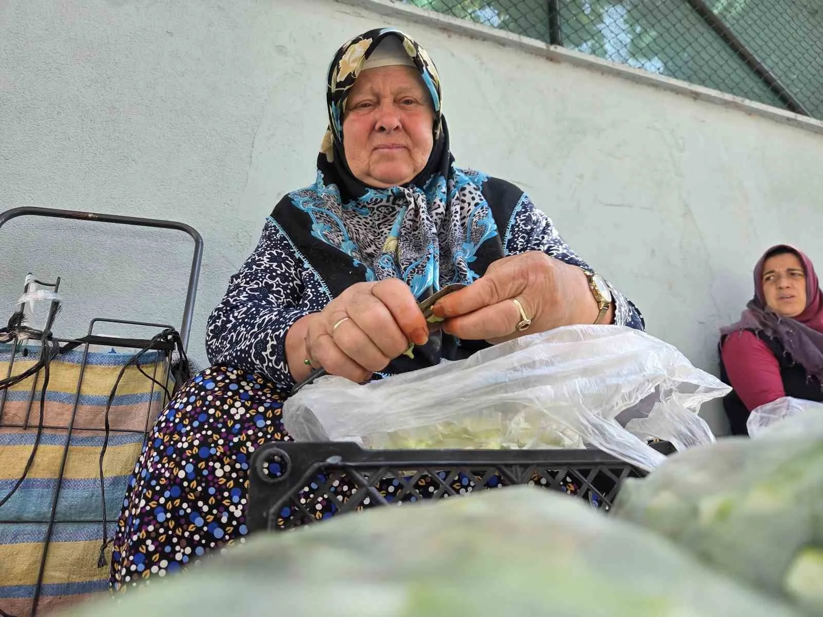 SAMSUN’DA EV KADINLARI, EKONOMİK GELİR SAĞLAMAK AMACIYLA KALDIRIM ÜZERİNE KURDUKLARI PAZARDA BAMYA SATARAK KAZANÇ ELDE ETMEYE ÇALIŞIYOR. BOYUTU KÜÇÜLDÜKÇE FİYATI ARTAN BAMYANIN KİLOGRAMI ORTALAMA 200-250 TL’DEN SATILIYOR.