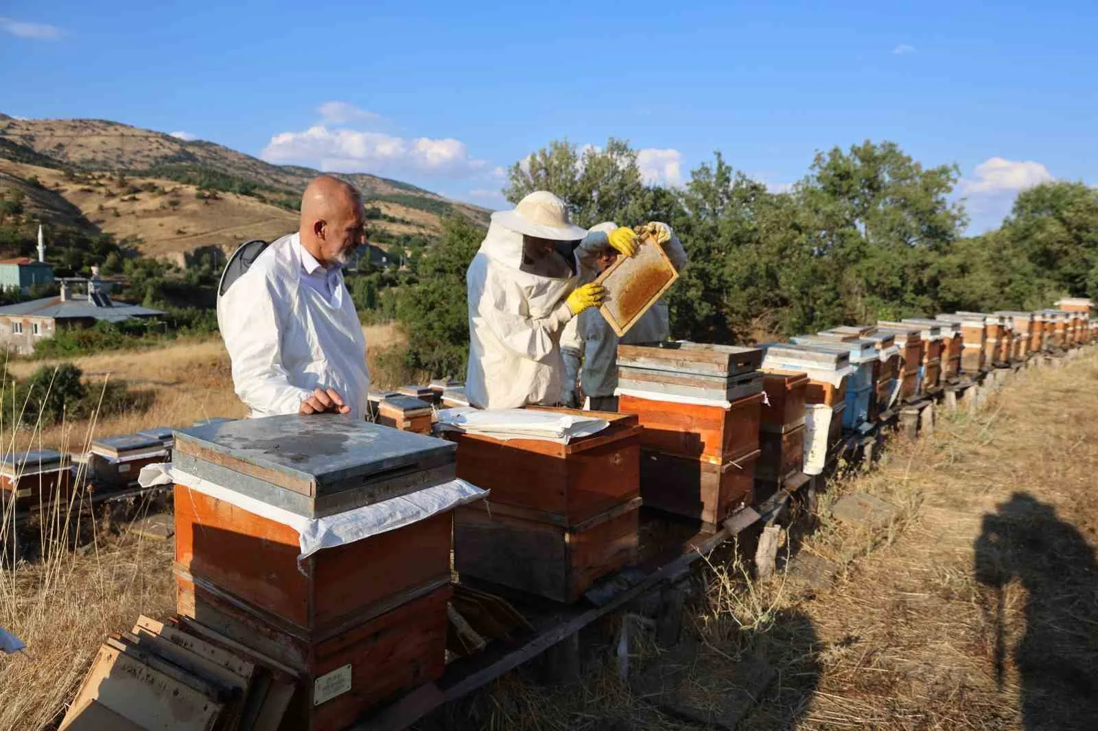 ELAZIĞ’DA BAHAR MEVSİMİYLE BİRLİKTE KENTTE ETKİLİ OLAN YAĞIŞLAR, ARILARI DA ETKİLEDİ. YAĞAN YAĞIŞLARLA BİRLİKTE, GEÇEN YIL KOVAN BAŞINA 6 KİLOGRAM REKOLTE ALAN ARICILAR, BU SENE YAŞANAN YÜZDE 20’LİK ARTIŞLA BİRLİKTE 10 KİLOGRAMA YAKIN REKOLTE BEKLİYORLAR