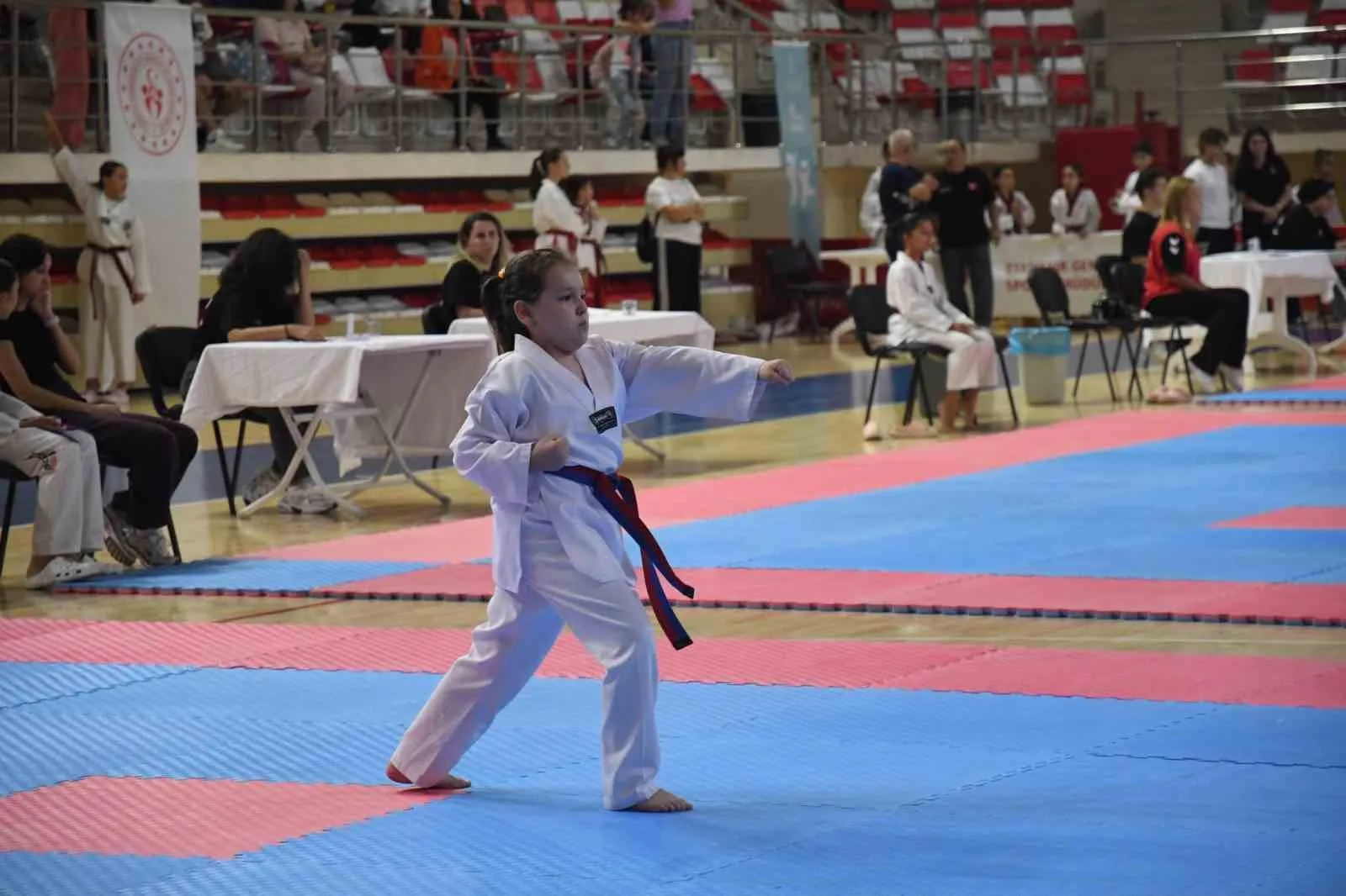 ESKİŞEHİR'DE DÜZENLENEN 2. İLLER ARASI TAEKWONDO POOMSAE TURNUVASI, TÜM HEYECANIYLA DEVAM EDİYOR.