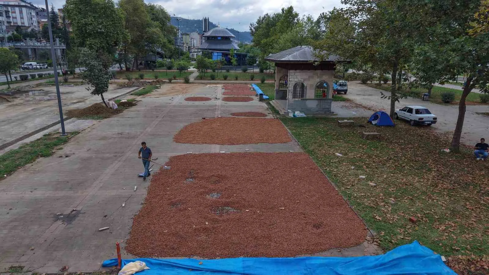 TRABZON’UN ARSİN İLÇESİNDE HASADIN ARDINDAN SAHİL YOLU KENARLARI FINDIK HARMANINA DÖNÜŞTÜ.