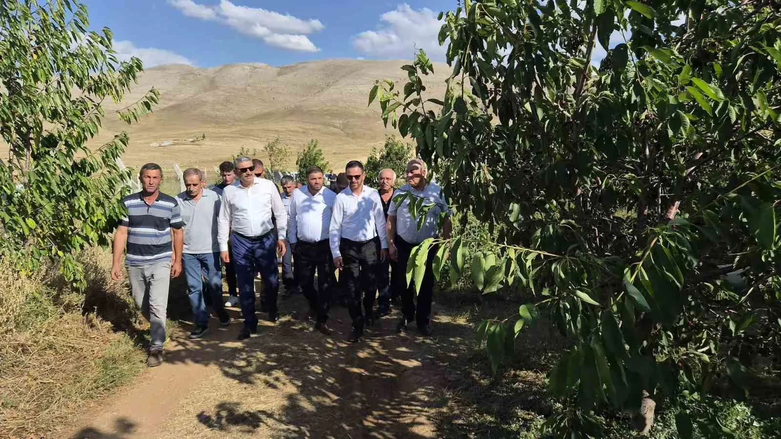 GÜMÜŞLER TUMLU YAYLASI’NDA KİRAZ HASADI VE YOL SEVİNCİ