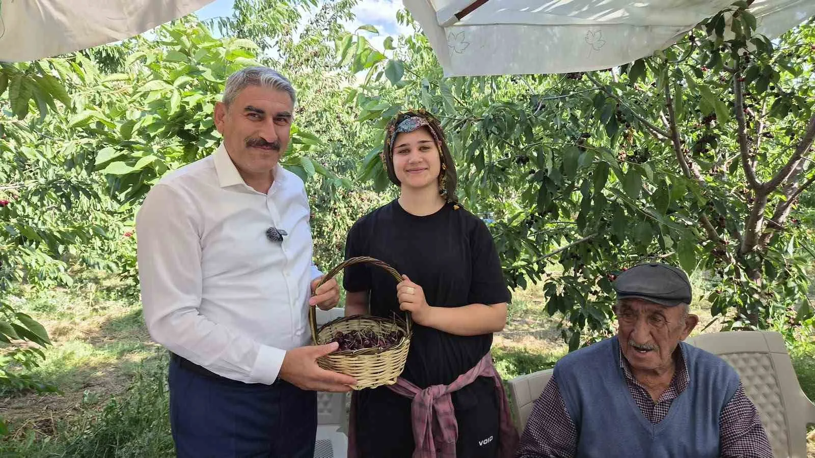 GÜMÜŞLER TUMLU YAYLASI’NDA KİRAZ HASADI VE YOL SEVİNCİ