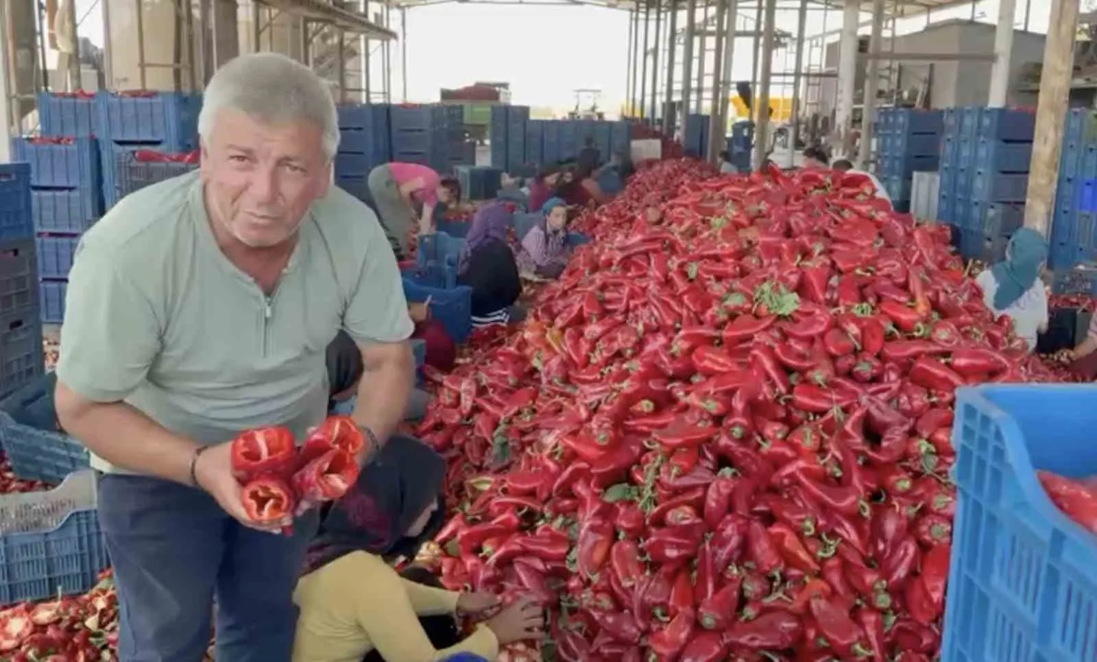 KARACABEY ZİRAAT ODASI İKİNCİ BAŞKANI RAMAZAN DÜZEN