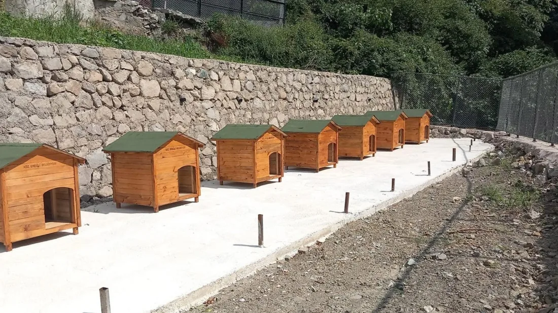 Kdz. Ereğli Belediyesi Sokak Hayvanları Rehabilitasyon Ve Bakım Merkezi 12,5 Dönümlük Alana Ulaşacak
