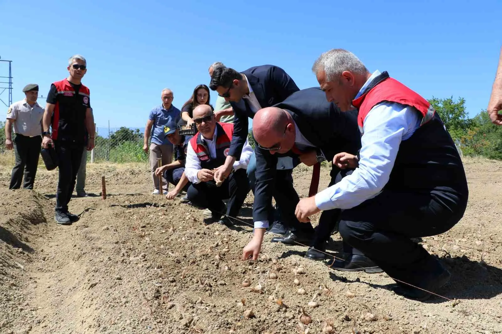 UNESCO DÜNYA MİRASI LİSTESİ'NDE YER ALAN KARABÜK'ÜN SAFRANBOLU İLÇESİNDE, KİLOSU 600 BİN LİRAYA ULAŞAN VE "DÜNYANIN EN PAHALI BAHARATI" OLARAK BİLİNEN SAFRANIN YENİ SEZON SOĞANLARININ EKİMİNE BAŞLANDI.  SAFRANBOLU KAYMAKAMI HAYRETTİN BASKIN VE PROTOKOL ÜYELERİ SAFRAN EKİMİ YAPTI.