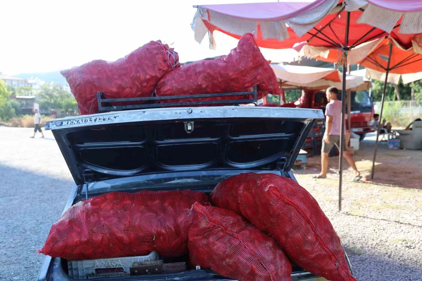 KOZAN İLÇESİNDE BAŞLAYAN SALÇALIK BİBER SEZONUNDA VATANDAŞLARIN ÇUVALLARLA ALDIKLARI BİBERLERİ TOROS OTOMOBİLLERİN BAGAJ VE TAVANINDA TAŞIMASI İLGİNÇ GÖRÜNTÜLER OLUŞTURDU.