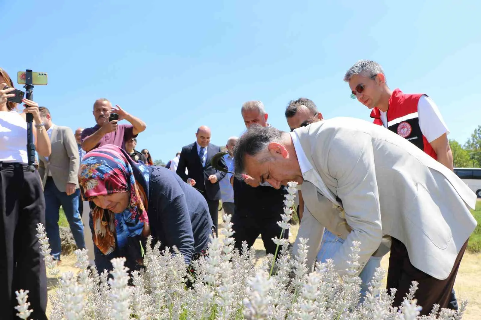 UNESCO DÜNYA MİRASI LİSTESİ'NDE YER ALAN KARABÜK'ÜN SAFRANBOLU İLÇESİNDE, "DÜNYANIN EN PAHALI BAHARATI" OLARAK BİLİNEN SAFRANIN SOĞAN DİKİMİ SÜRÜYOR. KARABÜK VALİSİ OKTAY ÇAĞATAY, LAVANTA HASADI YAPTI.
