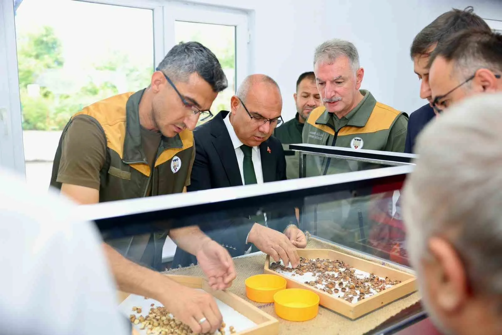 TOPRAK MAHSULLERİ OFİSİ (TMO), 2026 YILI FINDIK ALIM SEZONU KAPSAMINDA GİRESUN’DA KABUKLU FINDIK ALIMLARINA BAŞLADI.