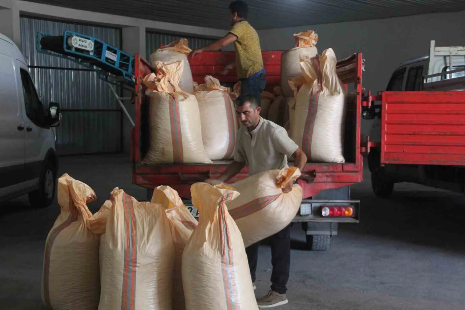 FINDIKLARIN ARAÇTAN İNDİRİLMESİ
