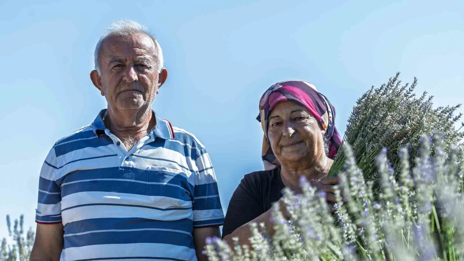 KIRIKKALE'NİN BAHŞILI İLÇESİNDE 7 YILDIR LAVANTA YETİŞTİREN MEHMET VE ZÜBEYDE BOZKURT ÇİFTİ.