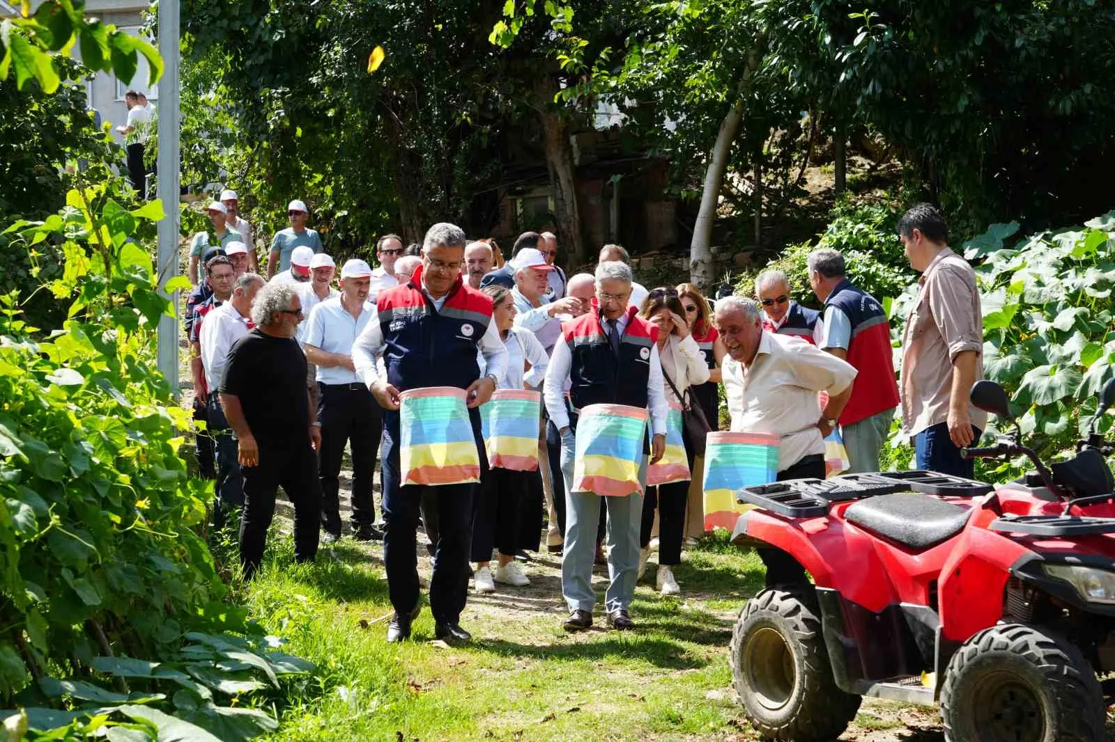 SAMSUN’DA ORTA KESİMDE FINDIK HASADI BAŞLADI.