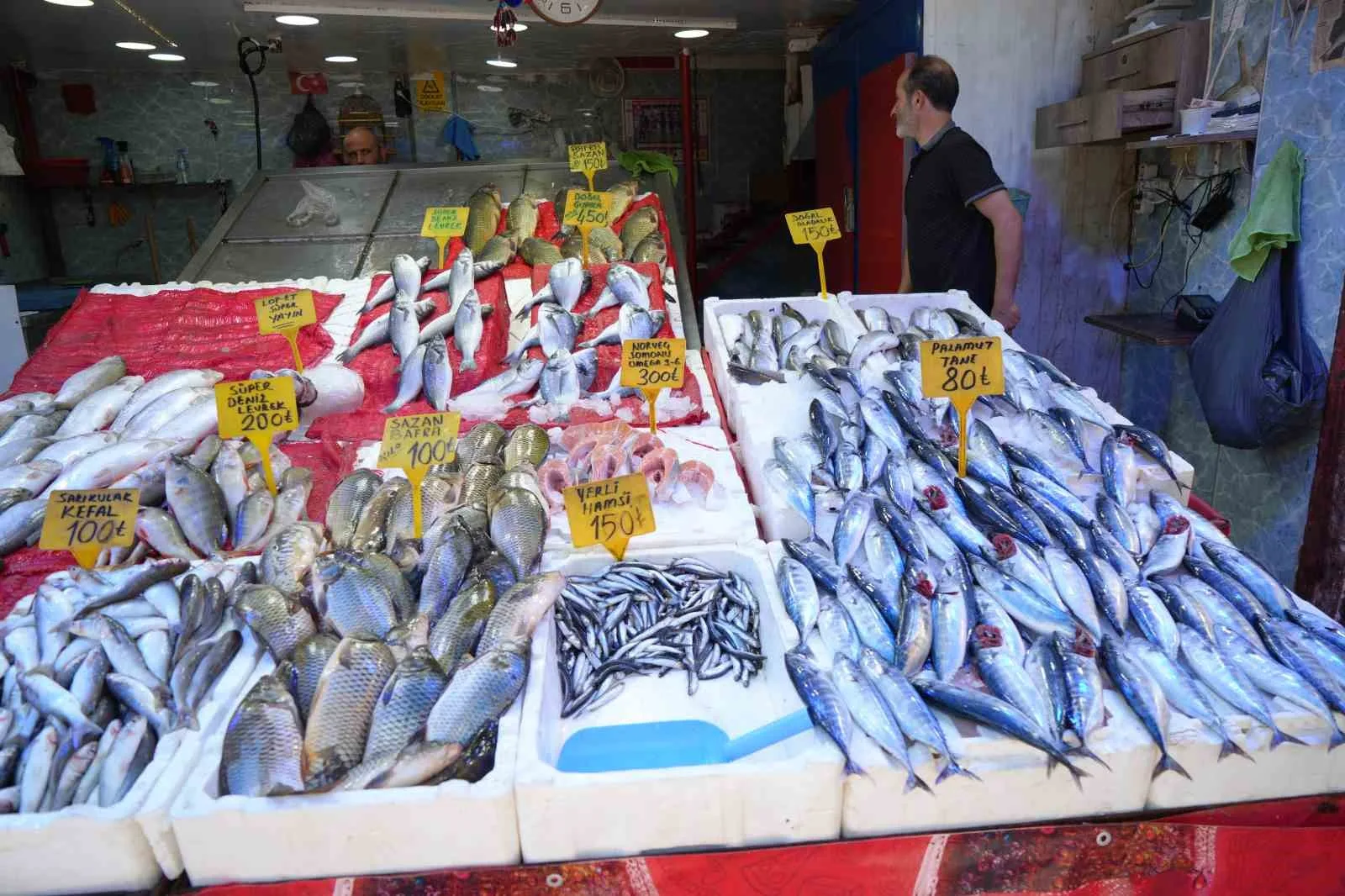 SAMSUN’DA BALIK TEZGAHLARI, GEÇEN YILLARIN AYNI DÖNEMİNE KIYASLA PALAMUTLARLA DOLUP TAŞIYOR.