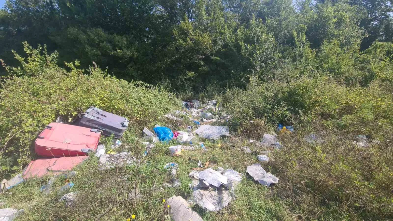 ÇAYCUMA İLÇESİNDE İKİ KÖY ARASINDAKİ ORMANLIK ALANA BIRAKILAN ÇÖPLER, SICAK HAVALARDA CAM ŞİŞELERİN GÜNEŞ IŞIĞINI YANSITMASI NEDENİYLE YANGIN TEHLİKESİ OLUŞTURDU. VATANDAŞLAR DA ÇÖPLERİ ÇEVREYE ATANLARA TEPKİ GÖSTERDİ.