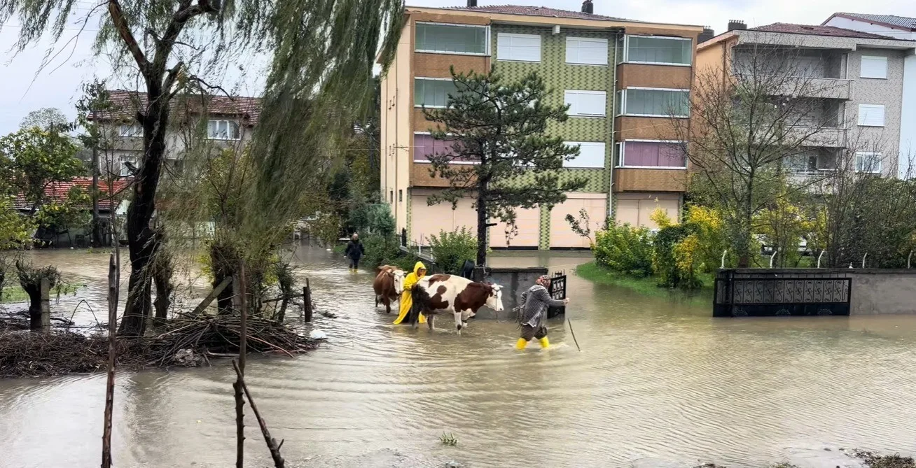 ZONGULDAK'IN ÇAYCUMA İLÇESİNE BAĞLI SALTUKOVA BELDESİNDE DÜN YAŞANAN SEL BASKINLARININ ARDINDAN VATANDAŞLAR, SU TAHLİYE KANALLARININ YETERSİZLİĞİNE TEPKİ GÖSTERDİ. EVİNİ SU BASAN YAŞLI BİR KADIN, HER YIL AYNI SORUNLA KARŞILAŞTIKLARINI BELİRTEREK, "HER SENE SEL SULARINDAN BIKTIK. BURAYA YENİ BİR KANAL YAPIN" SÖZLERİYLE YETKİLİLERE SESLENDİ.