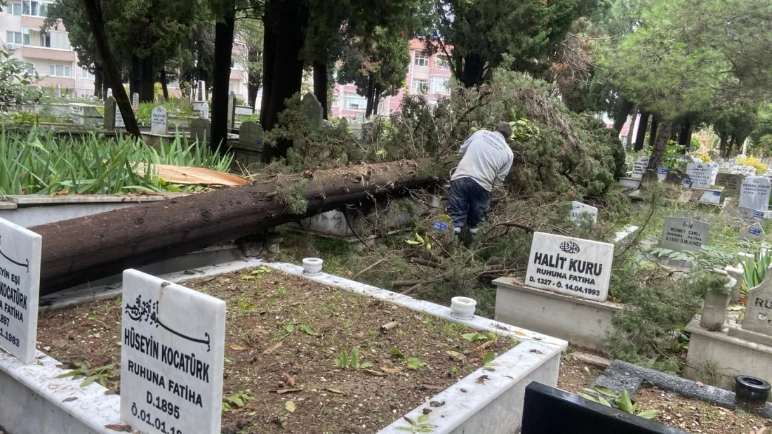 Şehir Mezarlığında Fırtınanın İzleri Silindi