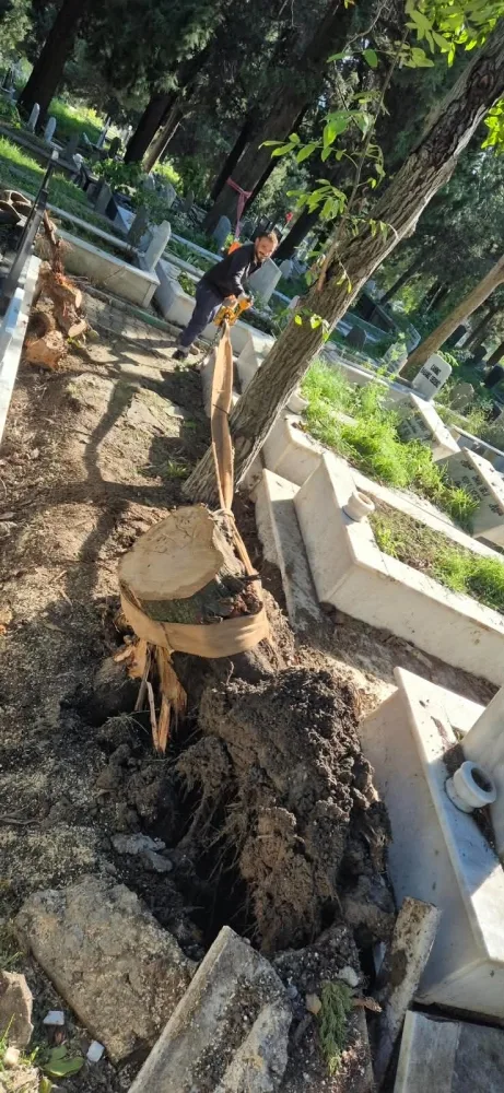 Şehir Mezarlığında Fırtınanın İzleri Silindi