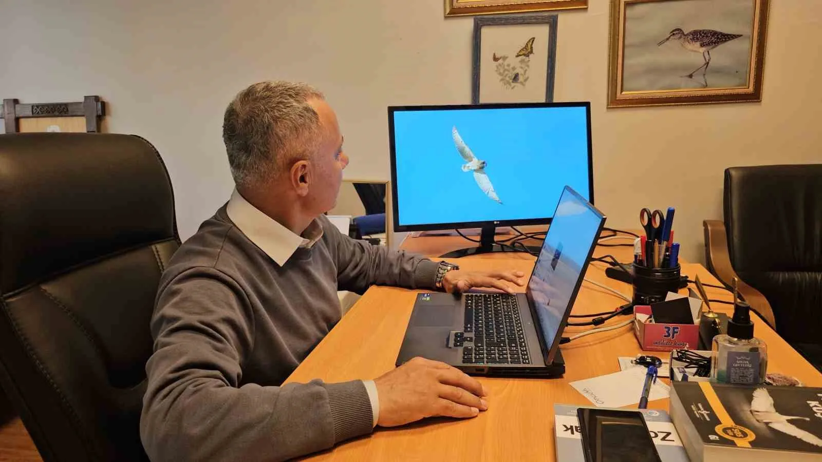 ZONGULDAK'TA BUGÜNE KADAR KAYDI BULUNMAYAN KIR BAYKUŞU, FİLYOS'TA GERÇEKLEŞTİRİLEN KUŞ GÖZLEMİ SIRASINDA İLK KEZ FOTOĞRAFLANDI. ZONGULDAK BÜLENT ECEVİT ÜNİVERSİTESİ (BEUN) FEN EDEBİYAT FAKÜLTESİ ÖĞRETİM ÜYESİ PROF. DR. MUSTAFA SÖZEN'İN 10 EKİM'DE GÖRÜNTÜLEDİĞİ TÜRLE BİRLİKTE KENTTE KAYIT ALTINA ALINAN KUŞ TÜRÜ SAYISI 320'YE ULAŞTI.